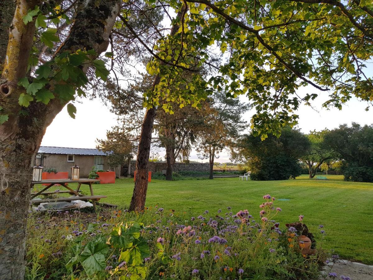 Azay-sur-Cher Le Puits De La Foltiere Bed & Breakfast エクステリア 写真